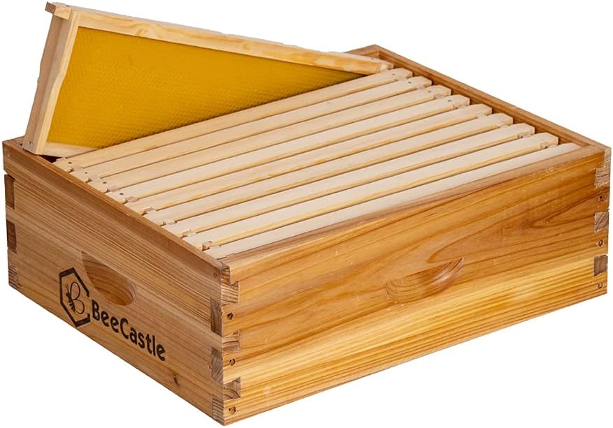 10 Frame Medium Super Bee Hive Box