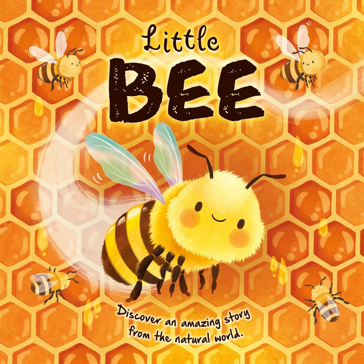 Nature Stories: Little Bee